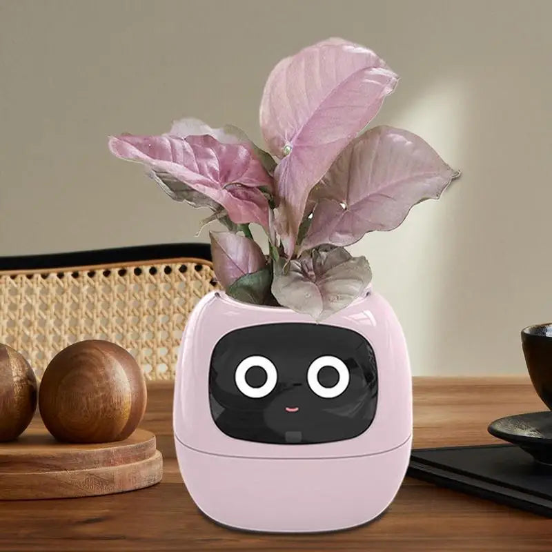 Your Plants Best Friend