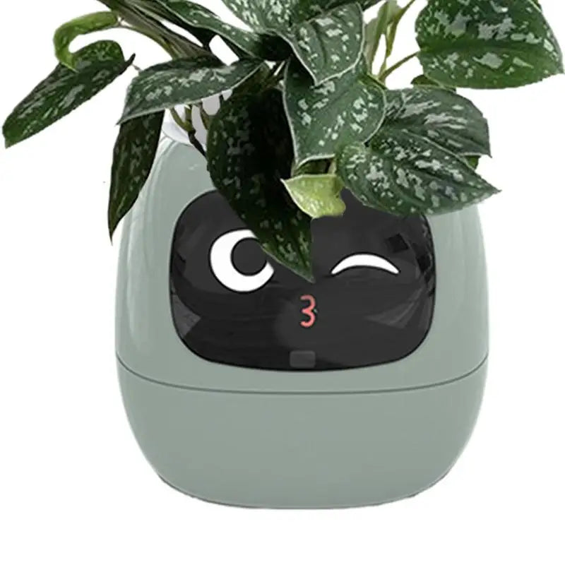 Your Plants Best Friend
