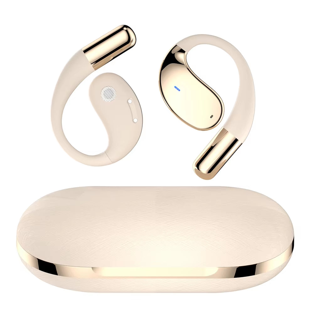 Intelligent AI Translator Earbuds