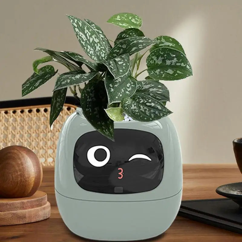 Your Plants Best Friend