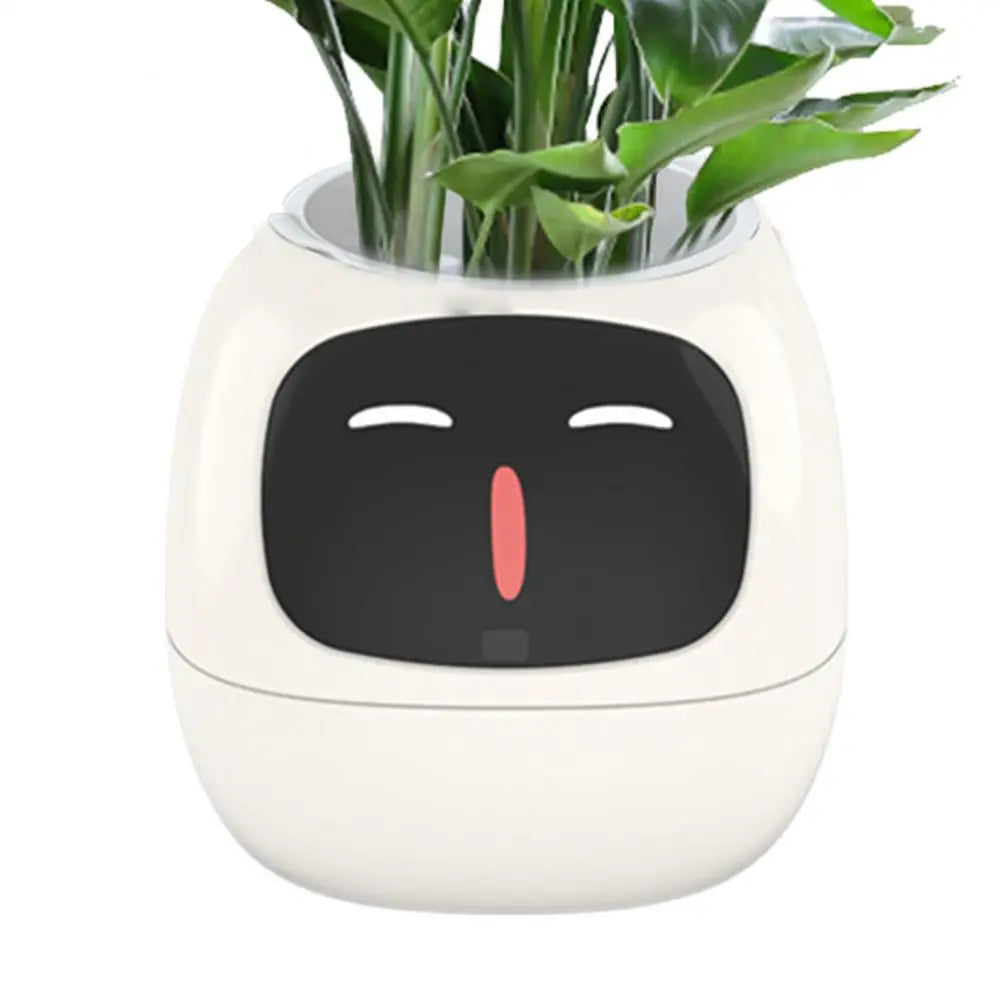 Your Plants Best Friend