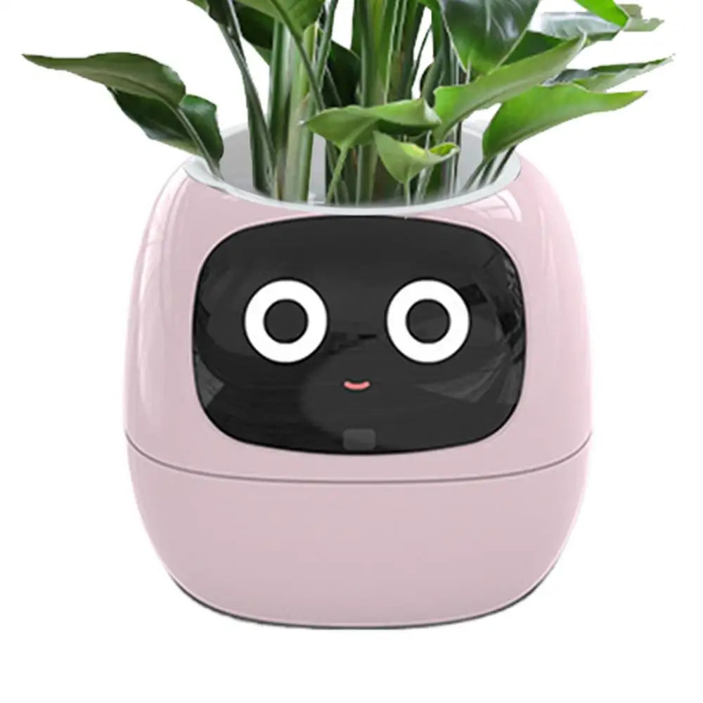 Your Plants Best Friend