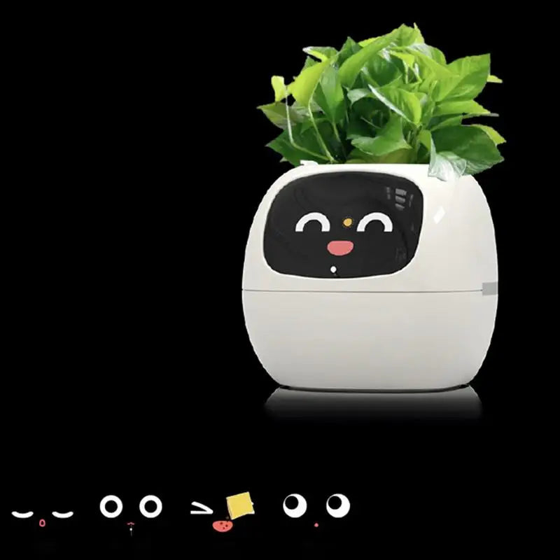 Your Plants Best Friend