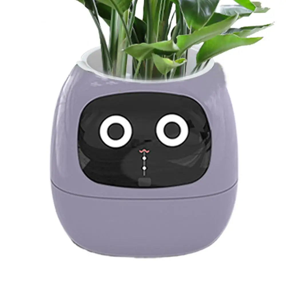 Your Plants Best Friend