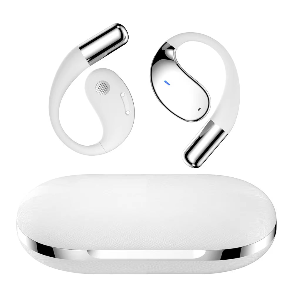 Intelligent AI Translator Earbuds