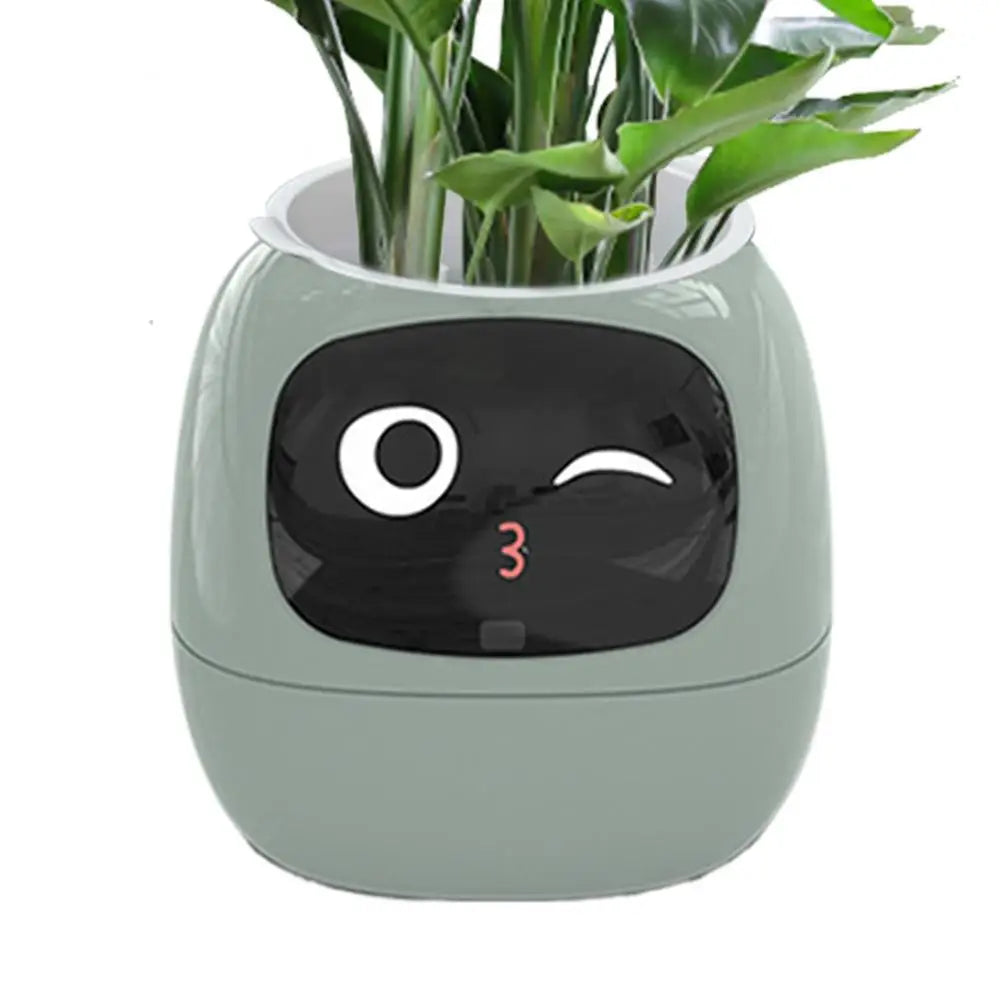 Your Plants Best Friend