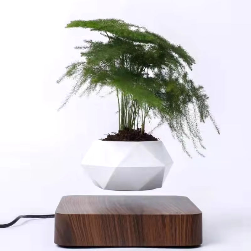 Dreamy Levitating Plant Pot 