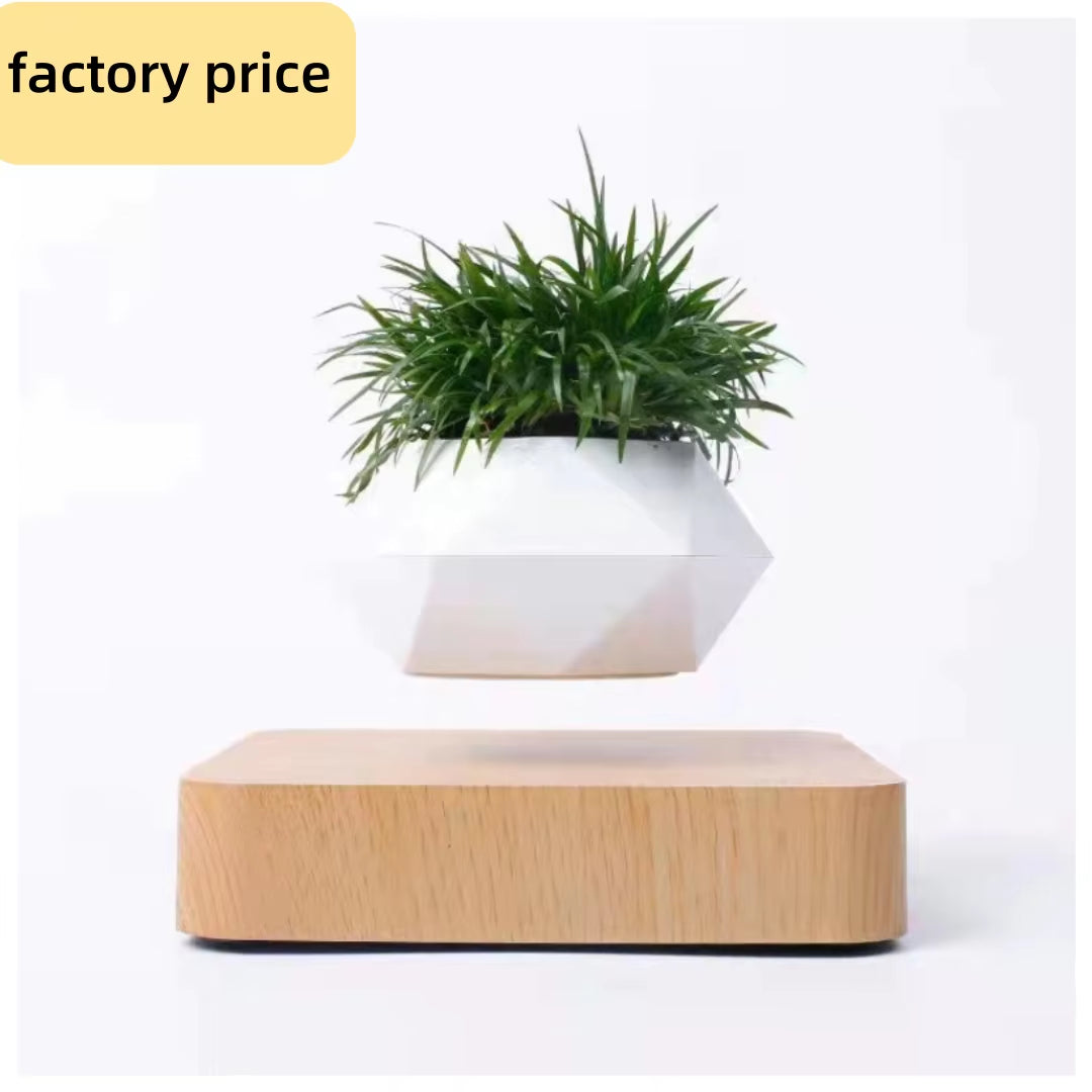 Dreamy Levitating Plant Pot 