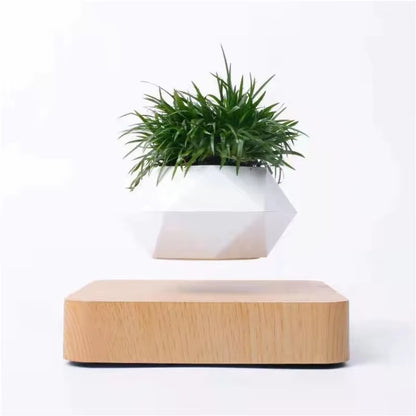 Dreamy Levitating Plant Pot 